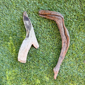 2 Natural Driftwood Branches California Coast Rustic Decor Aquarium Terrarium